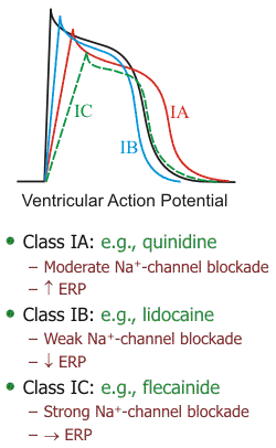 arry sodium channel subclass effects
